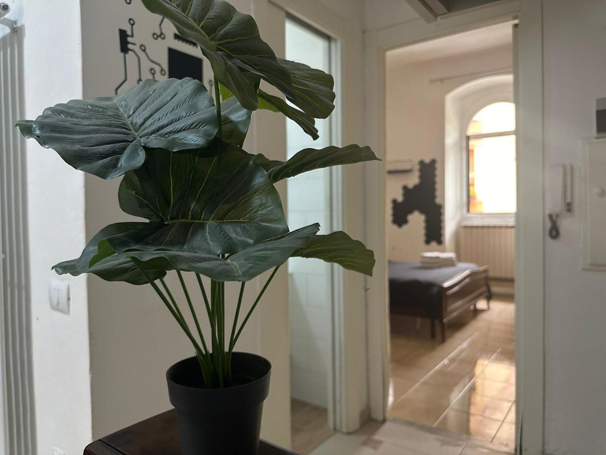 Appartamento La Spezia Stazione Centrale - Black Luaran gambar
